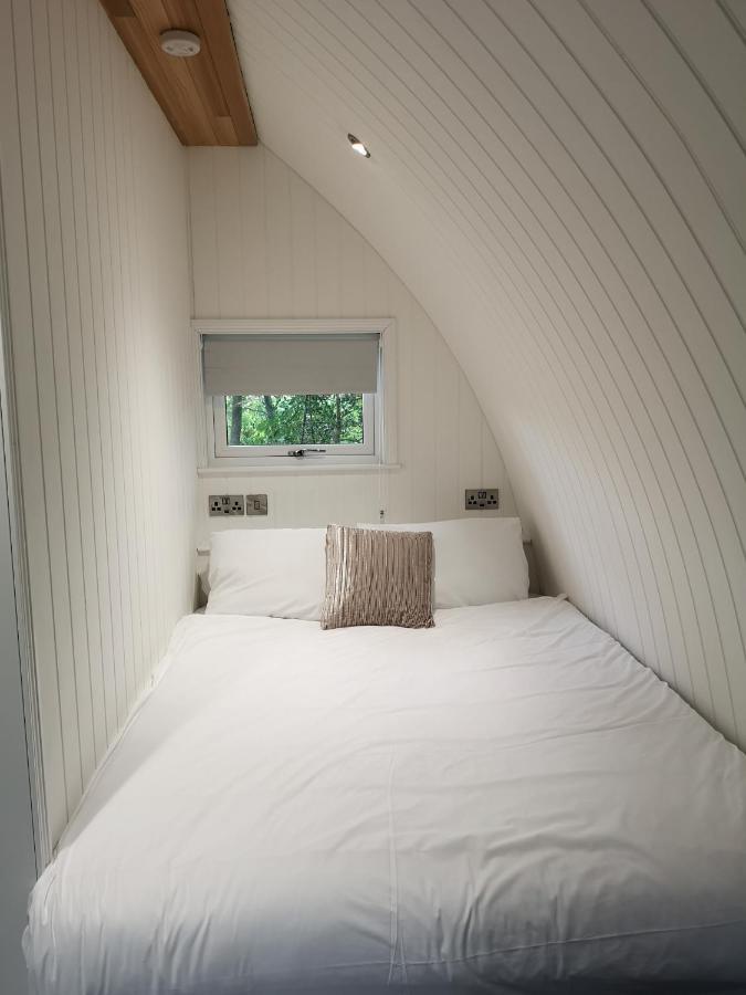 The Pod-hot Tub-woodland Lodges-st Clears-carmarthen *