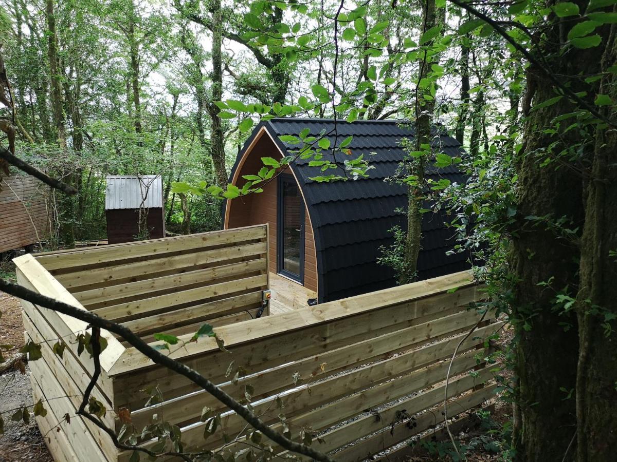The Pod-hot Tub-woodland Lodges-st Clears-carmarthen Chalé